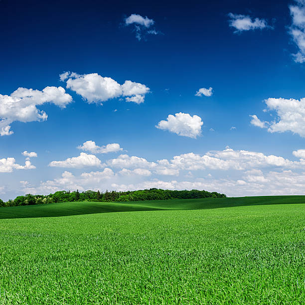 istock Square spring landscape XXXXL 40MPix- meadow, blue sky 534267255