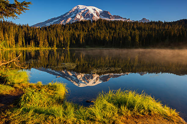 istock golden morning of mount rainier 534268545