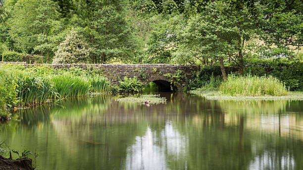 istock Balance Pool Lumsdale 534268799