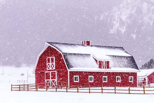 Bright red barn covered with snow surrounded with wooden fence on snowy winter day