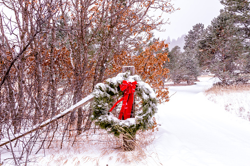 Fresh pine Christmas wreath with red ribbon covered with freshly fallen snow haning on wooden fence at entrance to mountain ranch