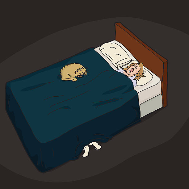Person Hiding Under Bed of Woman Feet sticking out from under bed of cat and woman woman feet bed stock illustrations