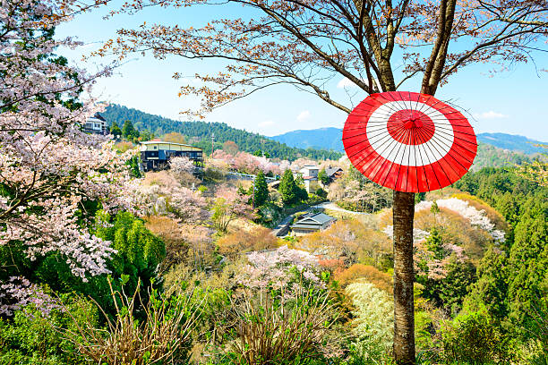 istock Yoshinoyama, Japan Spring Landscape 534273625
