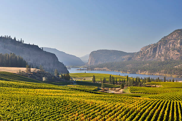 vinha vale de okanagan vasuex lago mcintyre detalhe arquitetónico em madeira talhada - okanagan valley imagens e fotografias de stock