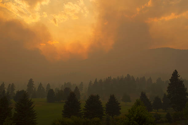 森林消防近隣のゴルフコース - okanagan valley ストックフォトと画像