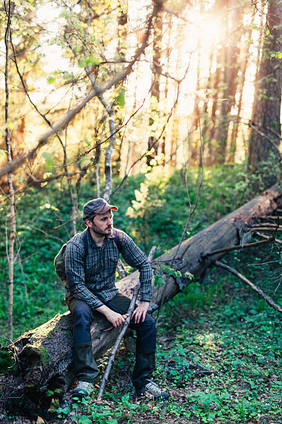 istock Warm Evening In The Forest After Hike 534306098