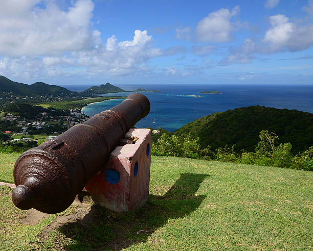 istock Cannon on Carriacou Island 534306533