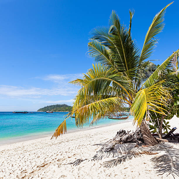 istock Beautiful tropical island, Koh Lipe in Thailand. 534307607