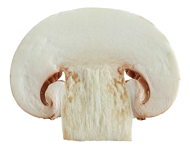 istock Slice of mushroom 534307931