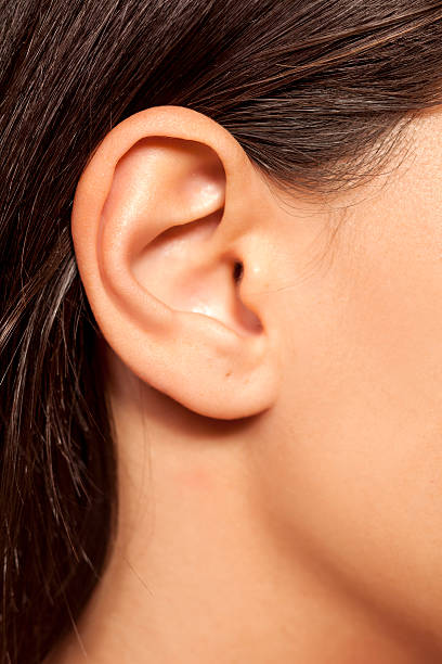 Close-up of female ear close-up of female ear ear stock pictures, royalty-free photos & images