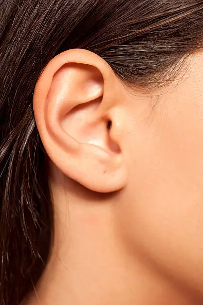close-up of female ear