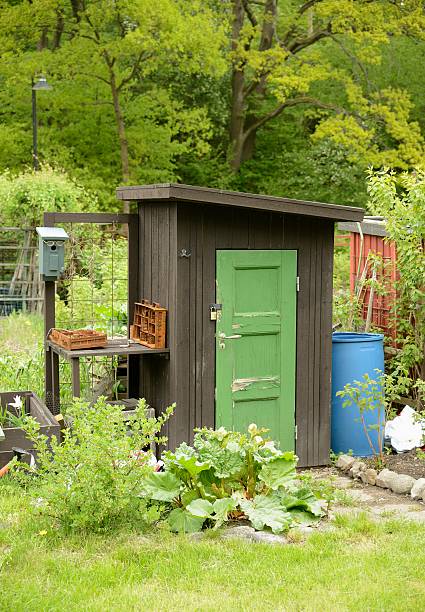 istock Organic Gardening on the Allotment 534308238