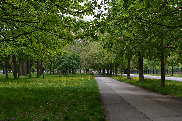 Prater Park in Vienna
