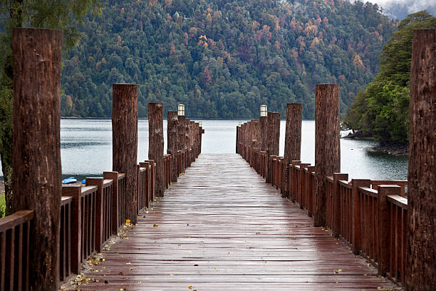Bridge in Puerto Fuy. Chile