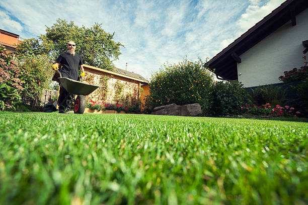 istock Man pushing wheelbarrow in  backyard at his home 534309242