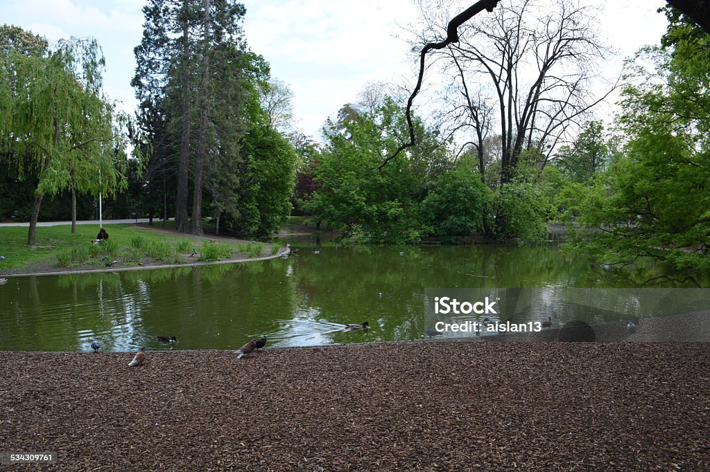 Prater Park in Vienna 2015 Stock Photo