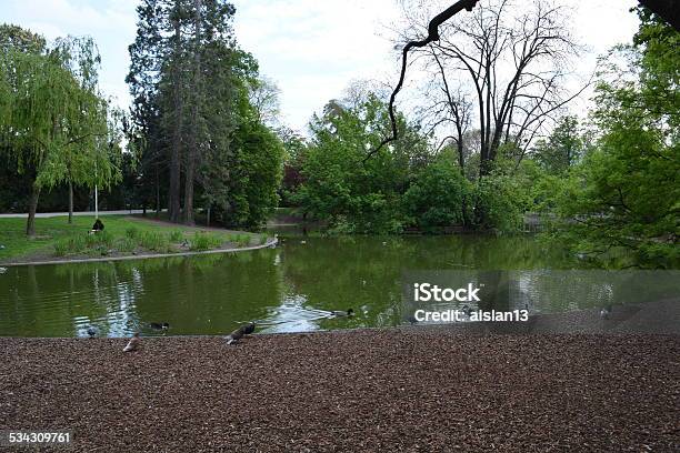 Prater Park In Vienna Stock Photo - Download Image Now - 2015, Amusement Park, Austria