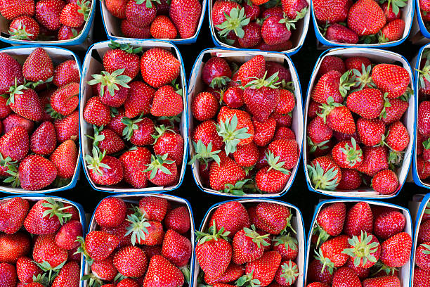 embalagens de morangos frescos no mercado em frança - market fruit strawberry farmers market imagens e fotografias de stock