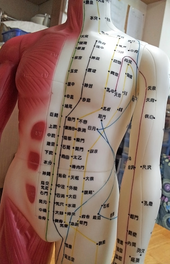 Educational doll showing Chinese medicine meridian points