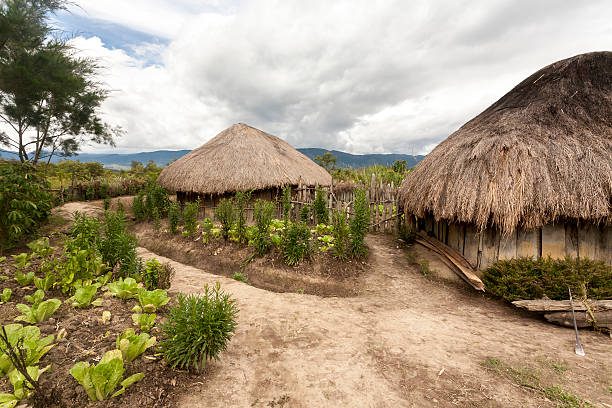 небольшие в местной деревне в папуа-новая гвинея - dani стоковые фото и изображения