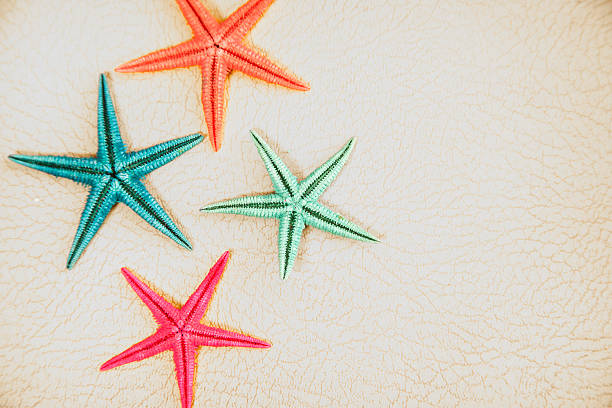istock Summer vacation.  Colorful starfish on white background. 534313156