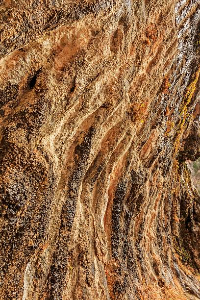 istock Weeping Rock at Zion National Park 534313275