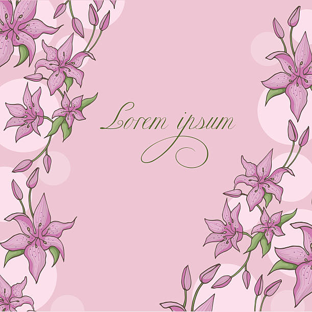 vector lily 5 Pink lily isolated on a pink background. Card with blooming lily. Vector illustration. pistil stock illustrations