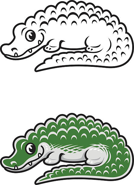 Alligator vector art illustration