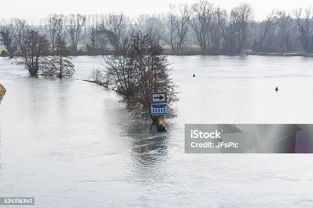 Flooded Forest Land Flood Plain Stock Photo - Download Image Now - Accidents and Disasters, Agricultural Field, Beach