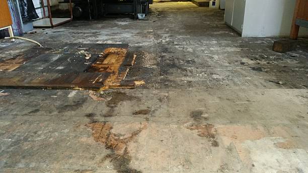 istock Water damaged wood floor 534318642