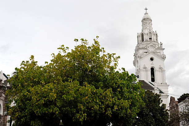 istock Tower of the Cathedral of Quito 534320832