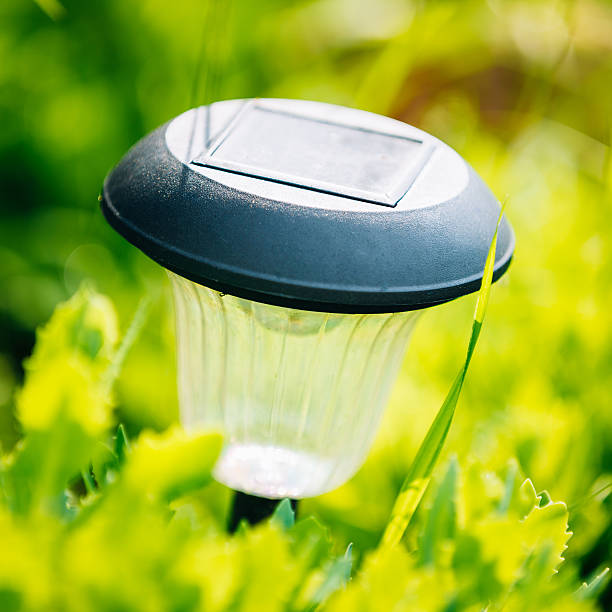 istock Small Solar Garden Light, Lantern In Flower Bed. Garden Design. 534321086