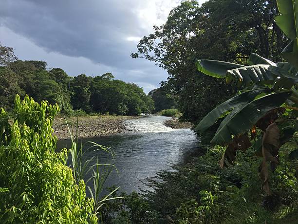 Sarapiqui river, Costa Rica