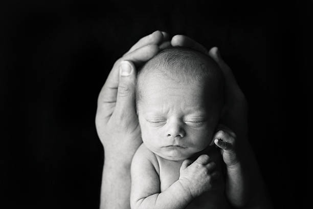 istock Newborn in Father's Hands 534321922