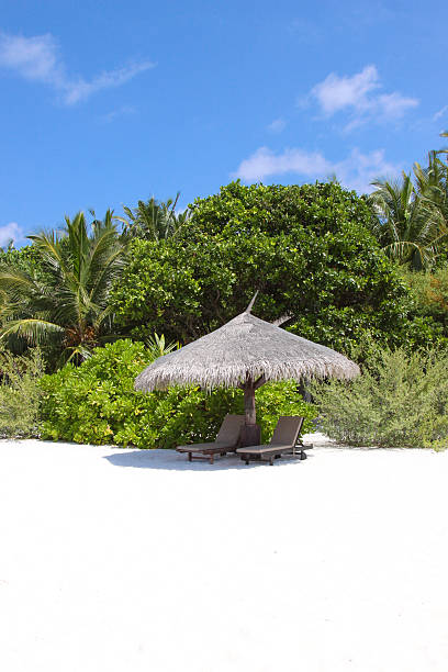 istock white sandy beach in Maldives 534322324