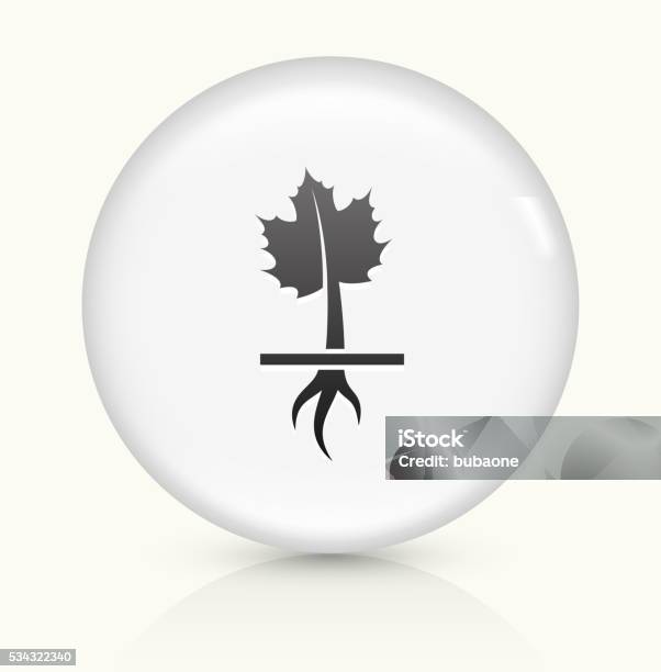 Growing Maple Plant Icon On White Round Vector Button Stock Illustration - Download Image Now