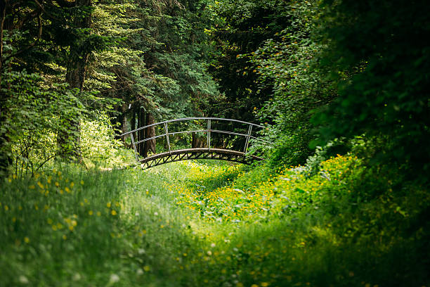 Old small decorative bridge in summer garden park forest