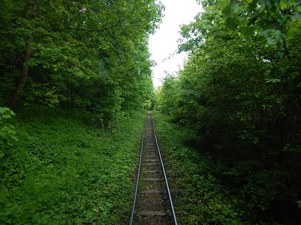istock Old rusty railway tracks disappearing into the woods 534323636