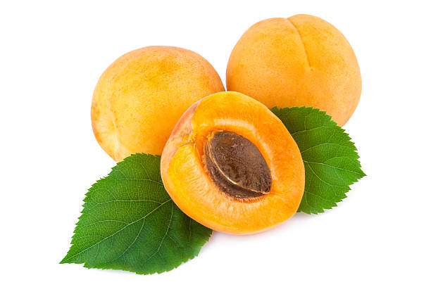 istock Fresh apricots with leaves isolated on white. 534323744