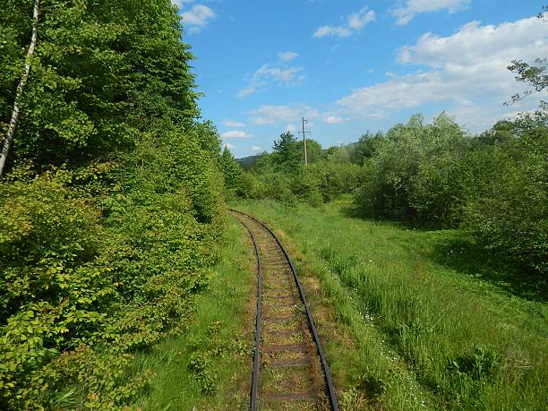 istock Old rusty railway tracks with wooden sleepers 534323882