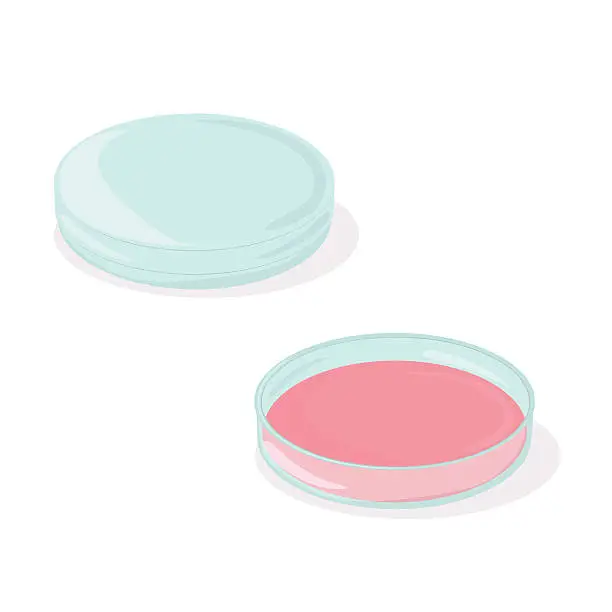 Vector illustration of Petri dish