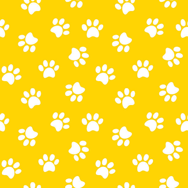 ilustraciones, imágenes clip art, dibujos animados e iconos de stock de huella de pata patrón continuo - dog paw print paw pets