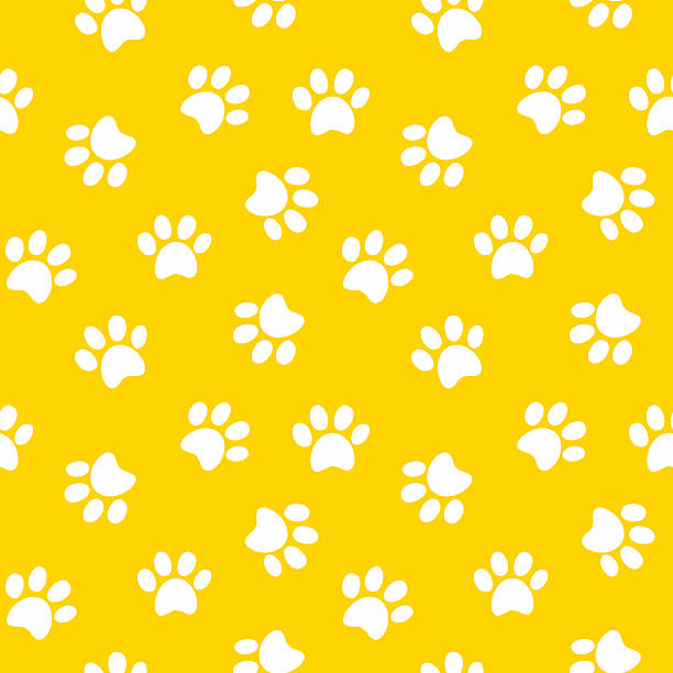 paw print seamless pattern Animal footprint seamless pattern vector illustration kitten wallpaper stock illustrations