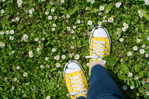 Yellow sneakers in a dasiy field. First person point of view