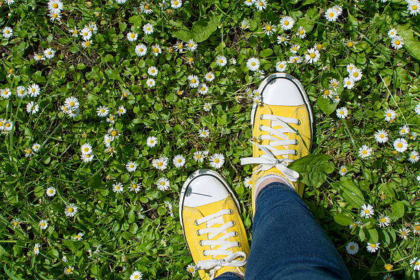 Yellow sneakers in a dasiy field. First person view Yellow sneakers in a dasiy field. First person point of view yellow shoes stock pictures, royalty-free photos & images