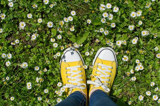 Yellow sneakers in a dasiy field. First person point of view