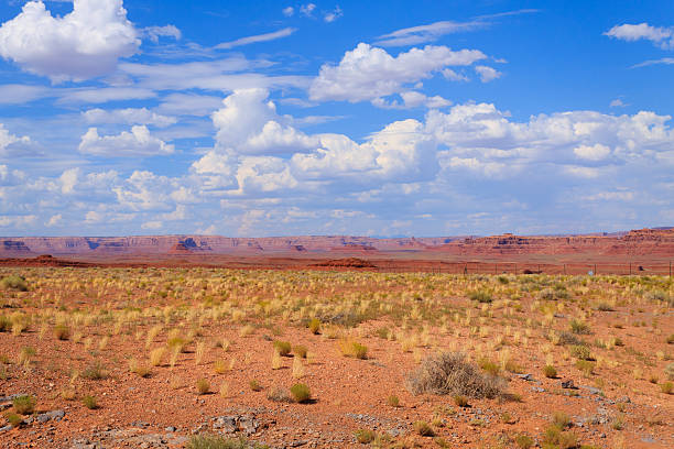 istock Arizona desert panorama 534328290