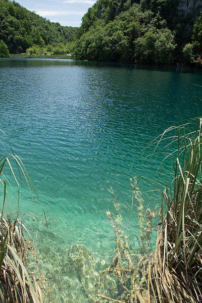 istock Beautiful view of Plitvice lake 534328528