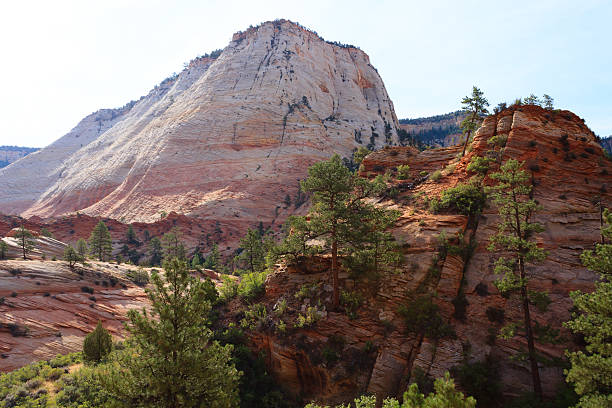 istock Panorama from Zion National Park 534329794