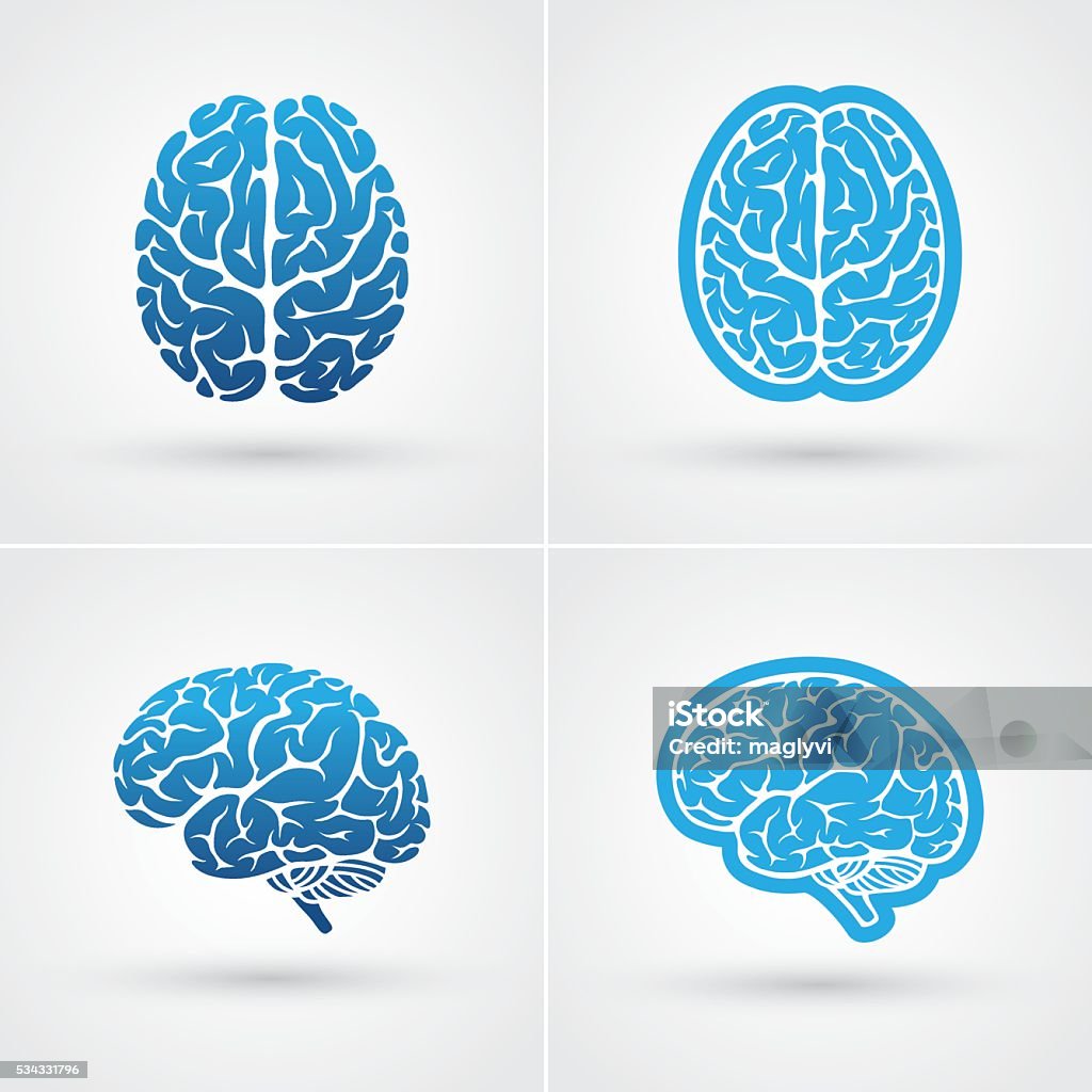 Four brain icons Set of four blue brain icons. Top and side view Vector stock vector